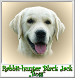 Rabbit-hunter Black Jack